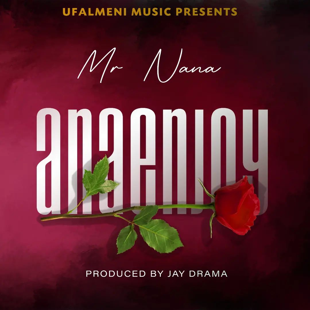 Mr Nana - Anaenjoy Mp3 Download